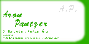 aron pantzer business card